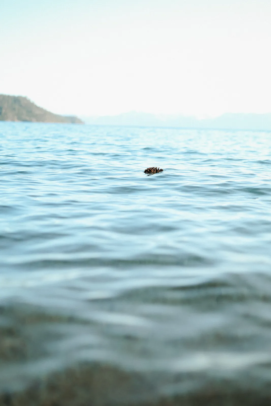 Nomadix photo 5