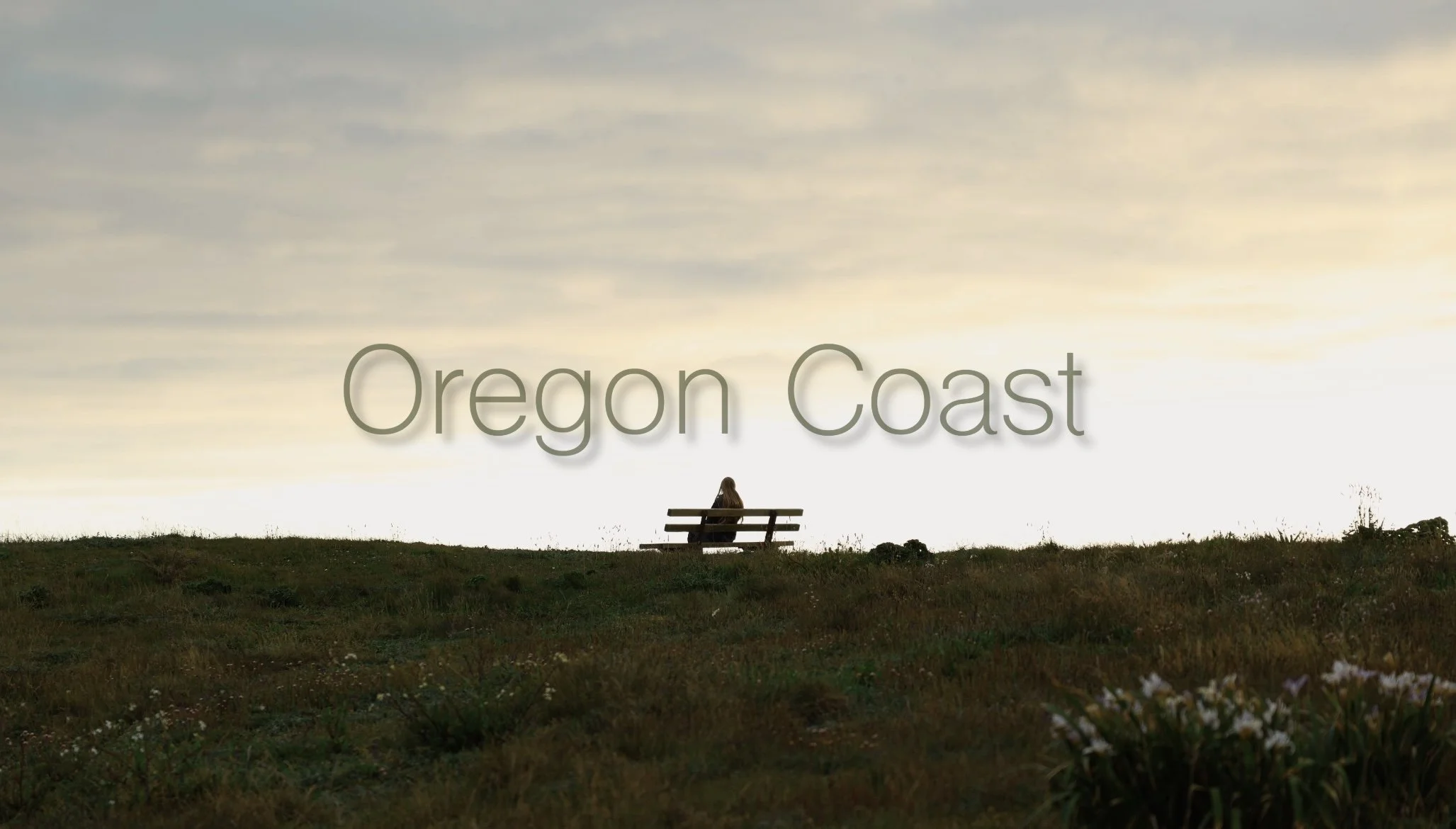 What If? · Oregon Coast still